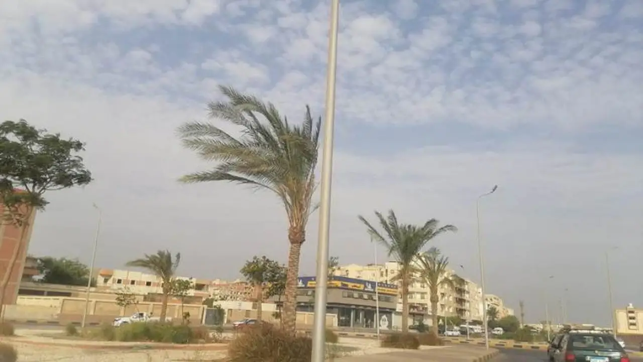 تحذير الأرصاد.. ضباب كثيف يحجب الرؤية على الطرق السريعة خلال ساعات الفجر الأولى